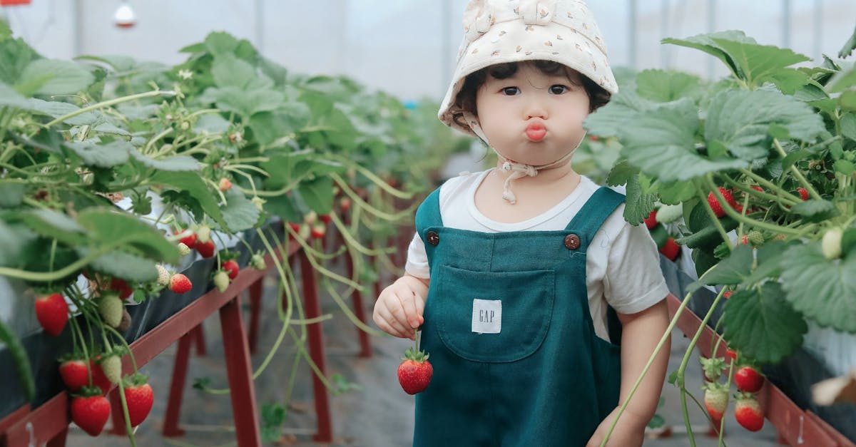 découvrez comment adopter une croissance durable qui allie performance économique et respect de l'environnement. explorez des stratégies innovantes pour bâtir un avenir responsable et pérenne.
