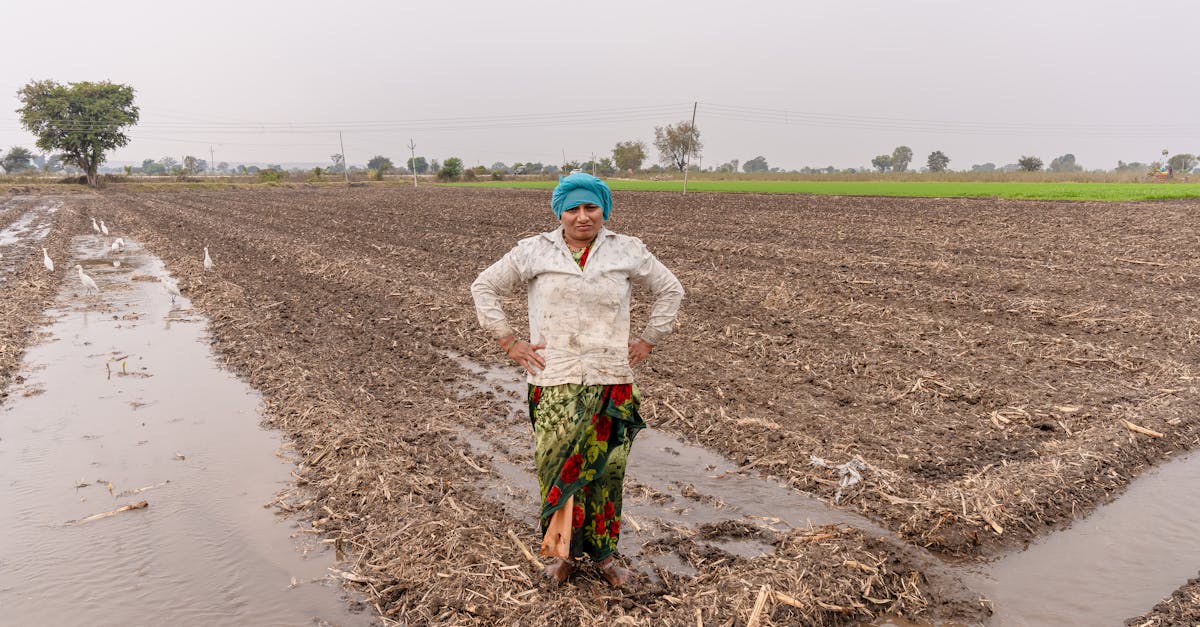découvrez les clés d'une croissance durable, alliant performance économique, respect de l'environnement et bien-être social. adoptez des stratégies innovantes pour un avenir responsable et prospère.