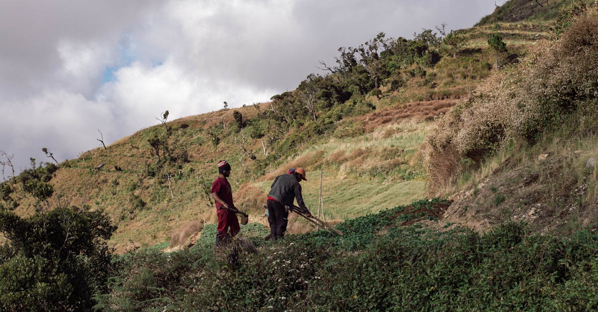 découvrez comment adopter une croissance durable qui respecte l'environnement tout en favorisant le développement économique et social. explorez des stratégies innovantes et des pratiques écoresponsables pour assurer un avenir prospère et équilibré.