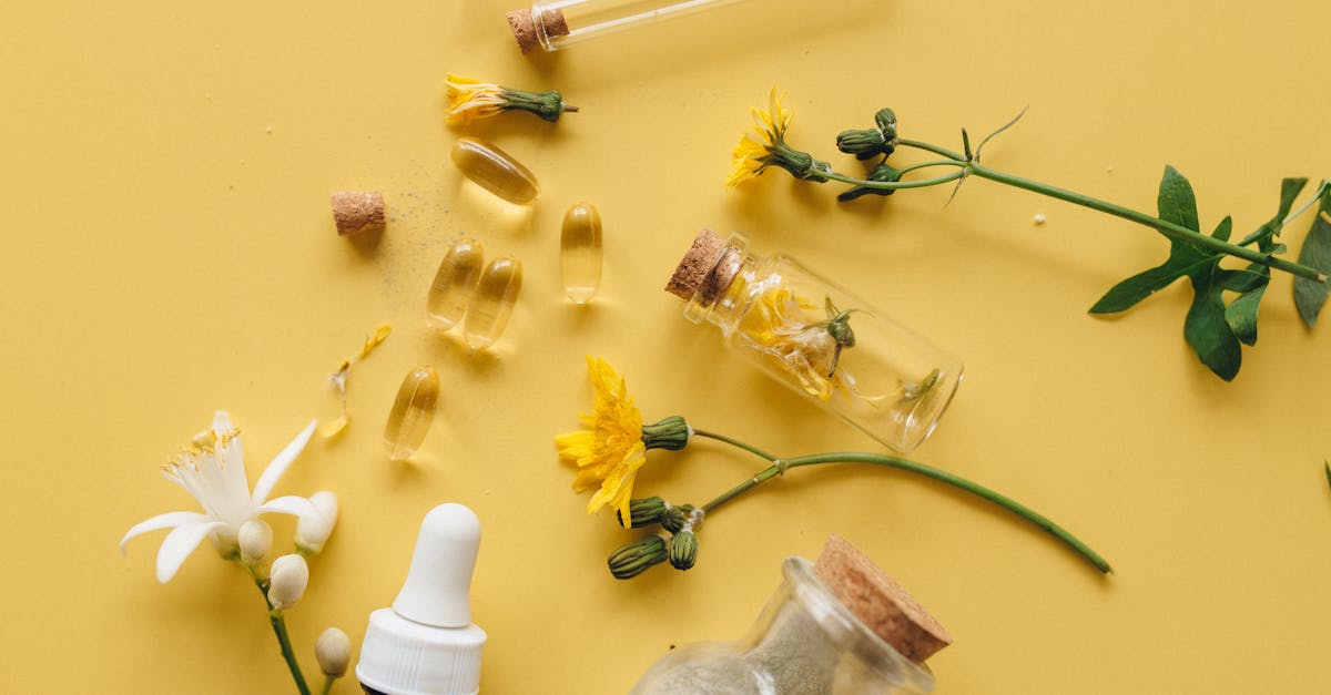 découvrez tout sur le remboursement de la vitamine d en france : conditions, procédures et conseils pour optimiser votre prise en charge santé. informez-vous sur vos droits et maximisez les bénéfices pour votre bien-être.