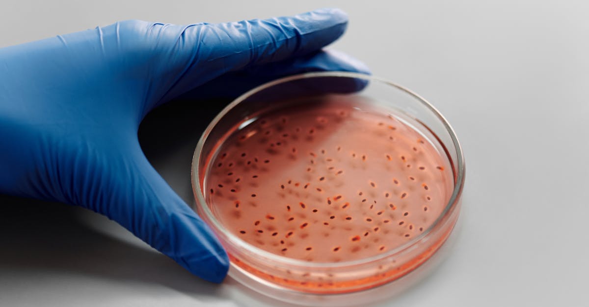 découvrez ag2r, leader en protection sociale et retraite, qui vous accompagne tout au long de votre vie professionnelle avec des solutions adaptées à vos besoins de santé, prévoyance et épargne.