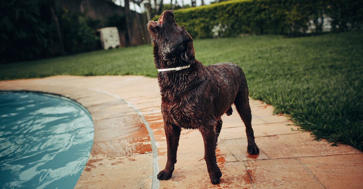découvrez les meilleures assurances santé pour les familles, adaptées à vos besoins et budgets. protégez la santé de vos proches avec des garanties complètes et un service client de qualité.