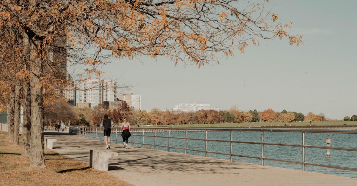 découvrez nos solutions de santé mutualisées, adaptées à vos besoins. profitez d'une couverture complète et d'un accompagnement personnalisé pour votre bien-être et celui de votre famille.