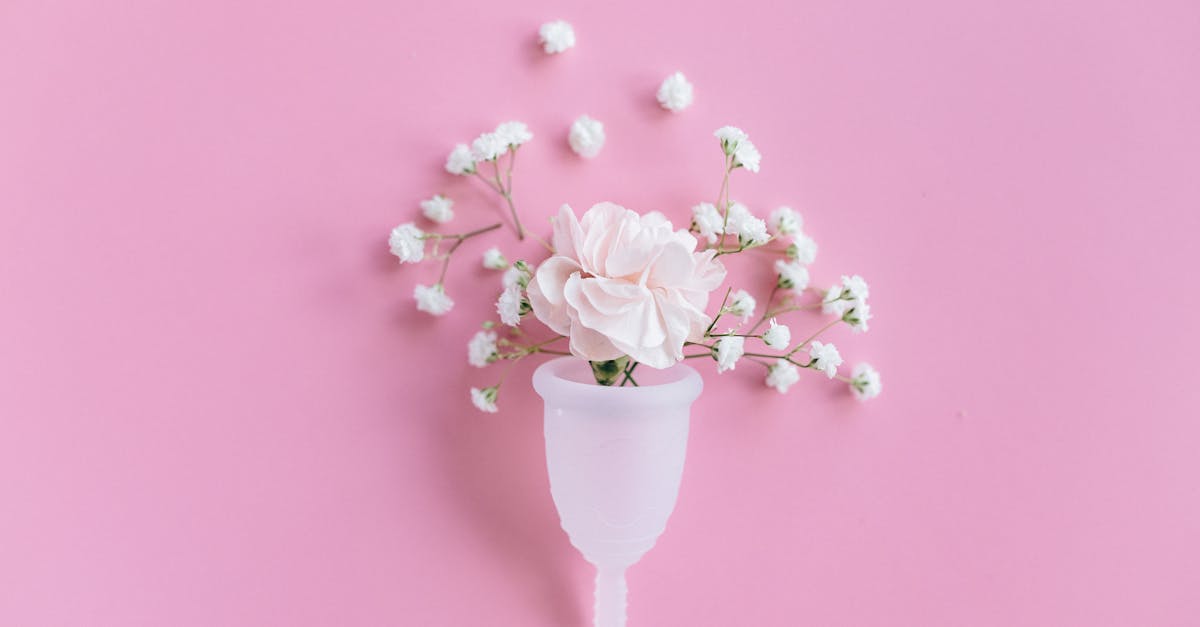 découvrez notre comparateur d'assurances santé pour trouver la couverture idéale qui répond à vos besoins. comparez les offres, les garanties et les tarifs facilement et faites le meilleur choix pour votre santé et celle de votre famille.