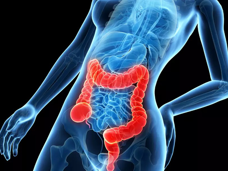 découvrez les liens entre la consommation de lait et le risque de cancer colorectal. informez-vous sur les études récentes et les recommandations pour une alimentation saine.