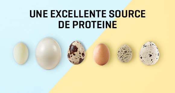découvrez les nombreux bienfaits des œufs pour la santé. riches en protéines, vitamines et minéraux, les œufs offrent un soutien essentiel à votre bien-être. apprenez comment les intégrer dans votre alimentation pour booster votre énergie et améliorer votre santé globale.