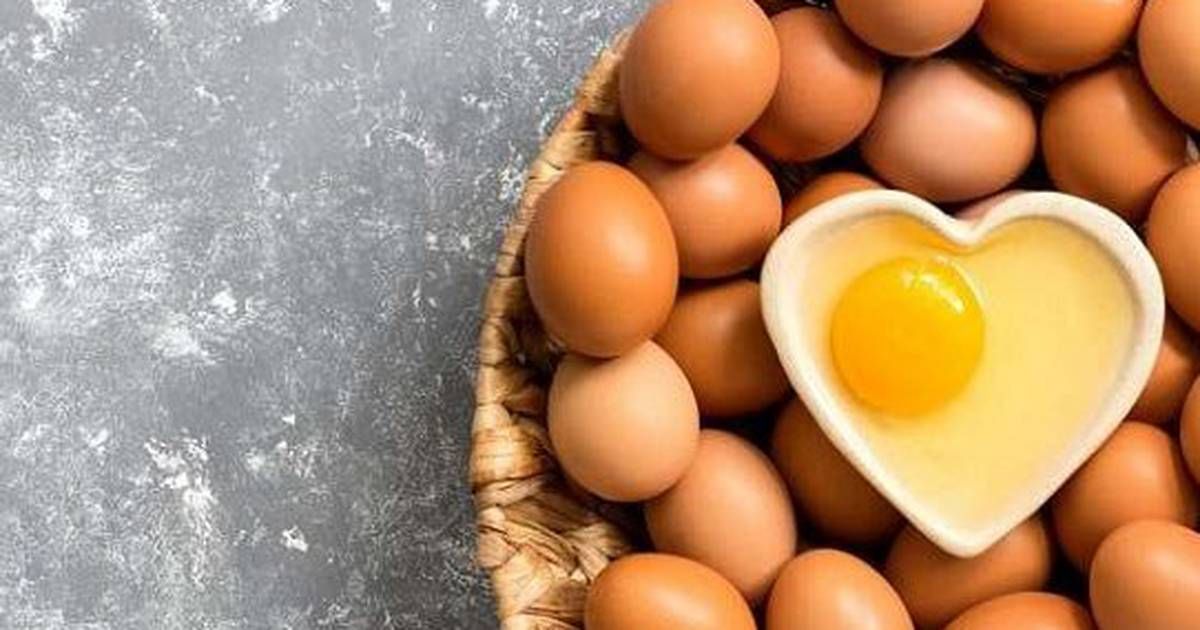 découvrez les multiples bienfaits des œufs pour votre santé ! riches en protéines, vitamines et nutriments essentiels, les œufs contribuent à une alimentation équilibrée tout en offrant des avantages pour la santé cardiovasculaire, le contrôle du poids et la fonction cognitive. apprenez comment intégrer ce super aliment dans vos repas au quotidien.