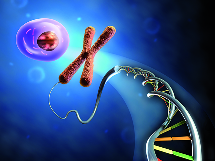 découvrez le monde des maladies rares : causes, symptômes, traitements et avancées de la recherche. informez-vous sur ces pathologies peu connues qui touchent une partie minime de la population et apprenez comment soutenir les personnes concernées.
