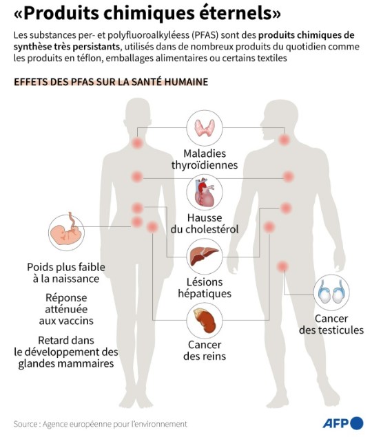 découvrez l'impact des substances perfluoroalkyles (pfas) sur la santé et les nouvelles recherches qui font lumière sur leurs effets. informez-vous sur les risques potentiels et les solutions pour minimiser l'exposition aux pfas dans notre quotidien.