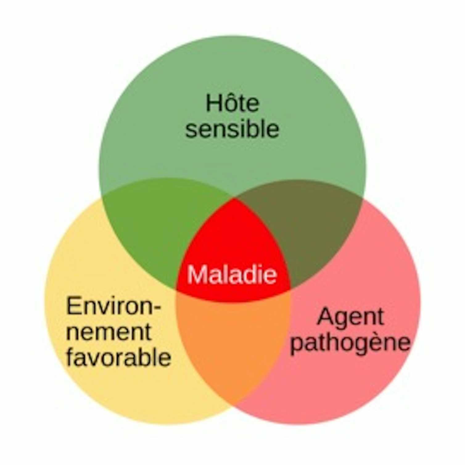 découvrez l'affrontement entre la santé publique et les lobbys dans notre analyse approfondie. nous explorons comment les intérêts privés influencent les politiques de santé, les risques pour le bien-être des citoyens et les défis à relever pour garantir une santé accessible à tous.