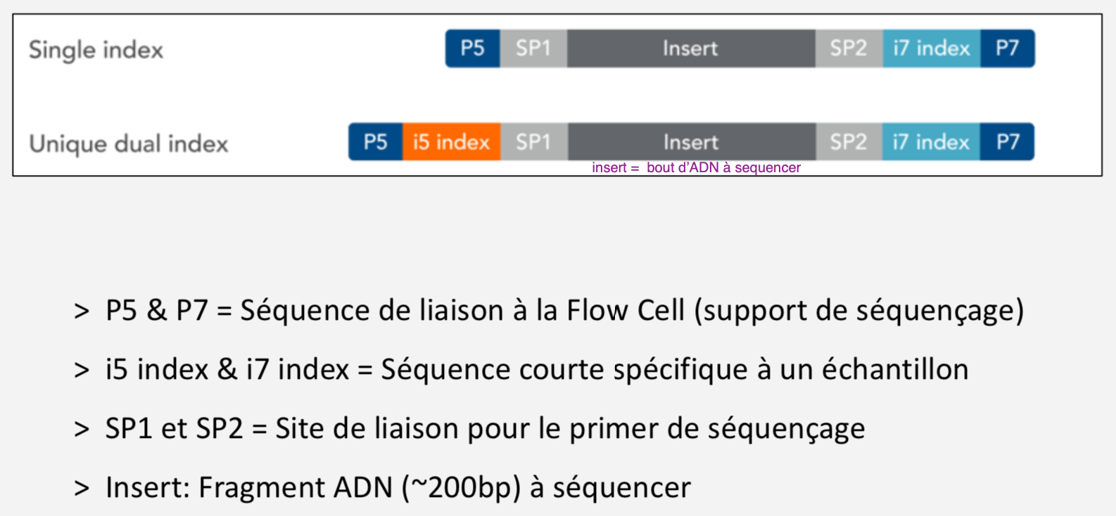découvrez notre analyse approfondie des solutions smcp exosens et lna santé, mettant en lumière leurs innovations et impacts sur le secteur de la santé. explorez les avantages, les cas d'utilisation et les tendances émergentes dans le domaine de la santé connectée.