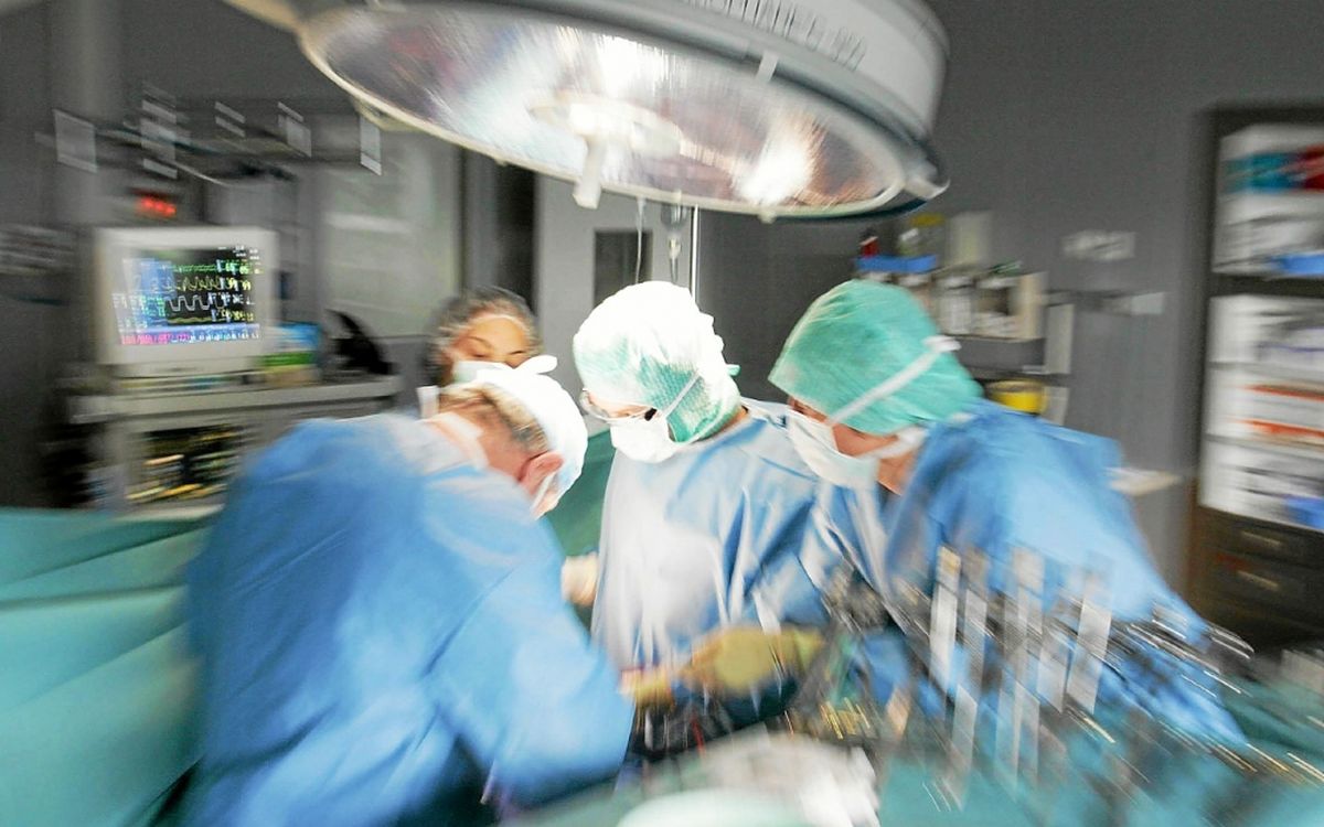 participez à la journée santé à brest, un événement dynamique dédié au bien-être et à la prévention. découvrez des ateliers, des conférences, et des stands d'information sur la santé, le fitness et la nutrition. rejoignez-nous pour prendre soin de vous et de votre santé dans une ambiance conviviale et informative.