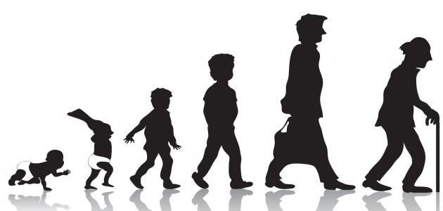 découvrez les secrets de la longévité féminine : astuces, conseils et études sur la santé et le bien-être au féminin pour vivre plus longtemps et en meilleure forme.