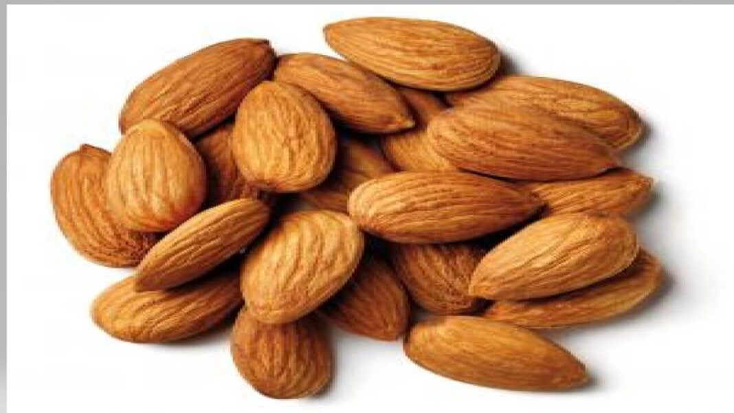 découvrez les bienfaits des amandes pour votre santé ! riches en nutriments, elles favorisent la santé cardiaque, améliorent la digestion et apportent une précieuse source d'énergie. intégrez les amandes dans votre alimentation quotidienne pour profiter de leurs multiples vertus.