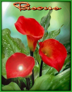 découvrez les causes et les implications de l'écart salarial dans le secteur de la santé en france. analyse des disparités salariales entre les professions médicales et le personnel soignant, et des pistes pour une meilleure équité.