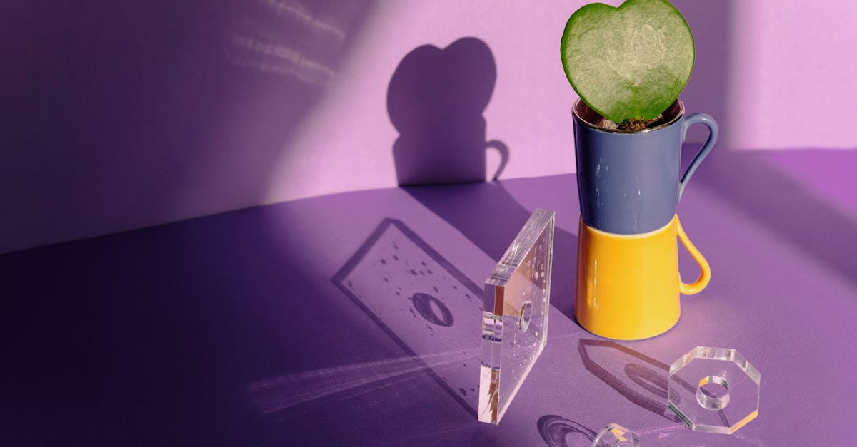 découvrez les lentilles hoya miyosmart, conçues pour ralentir la progression de la myopie chez les enfants. offrant un confort optimal et une vision claire, ces lentilles innovantes sont la solution idéale pour protéger la vue de vos enfants tout en leur permettant de profiter pleinement de leurs activités quotidiennes.