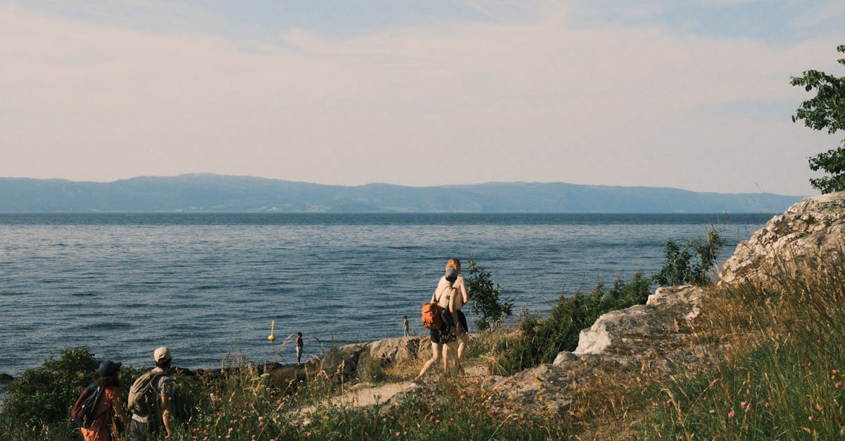 découvrez les mutuelles de santé : des solutions adaptées à vos besoins pour un remboursement optimal de vos frais médicaux et une meilleure protection de votre santé.
